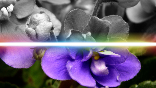 CleanStripWipeGlow-small