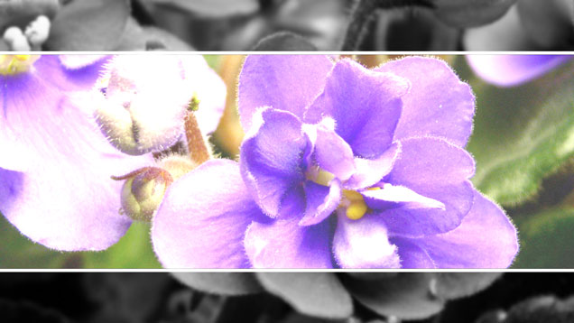 GrayscaleDoors-small